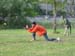 23_6_im_Feld